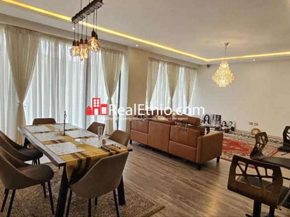 3BR Furnished Apartment for Rent, Megenagna Sholla, Addis Ababa, Ethiopia