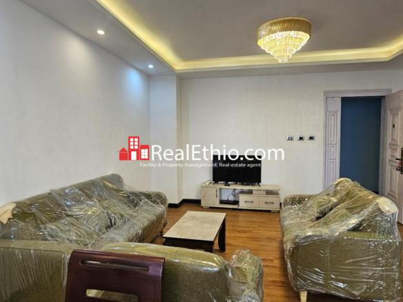 2BR Furnished Apartment for Rent, Megenagna Top view, Addis Ababa, Ethiopia.