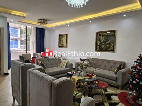 2BR Furnished Apartment for Rent, Megenagna Top view, Addis Ababa, Ethiopia.