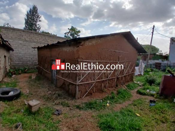 House or Land for Sale, Mekanisa Kore, Addis Ababa, Ethiopia.