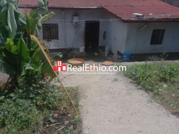 House or Land for Sale, Mekanisa Kore, Addis Ababa, Ethiopia.