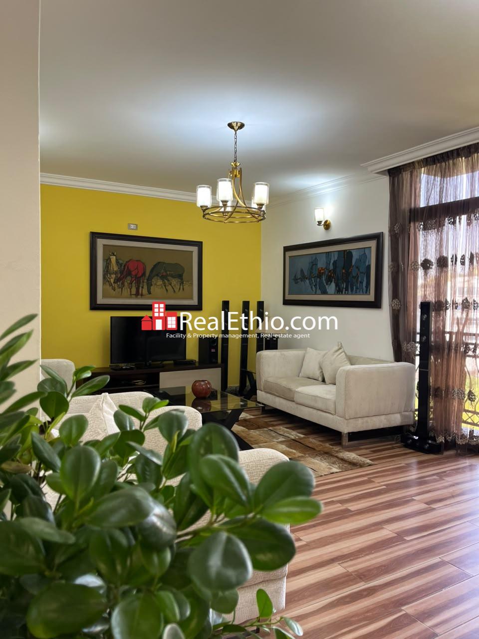 APARTMENT FOR RENT ADDIS ABABA